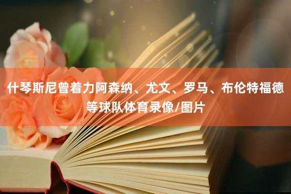 什琴斯尼曾着力阿森纳、尤文、罗马、布伦特福德等球队体育录像/图片